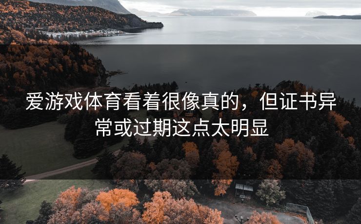 爱游戏体育看着很像真的，但证书异常或过期这点太明显
