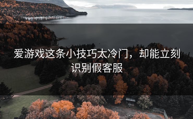 爱游戏这条小技巧太冷门，却能立刻识别假客服
